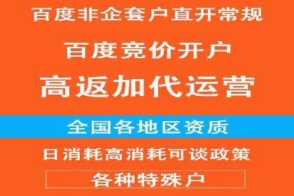 解析SEM推广代运营的优化技巧与策略